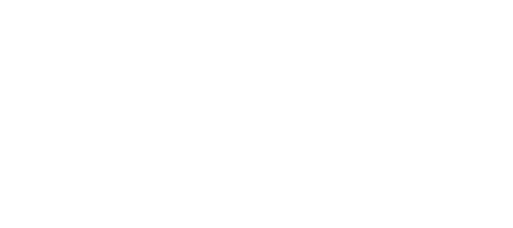leon-seo firmenlogo